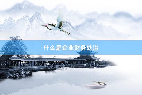 什么是企业财务处治