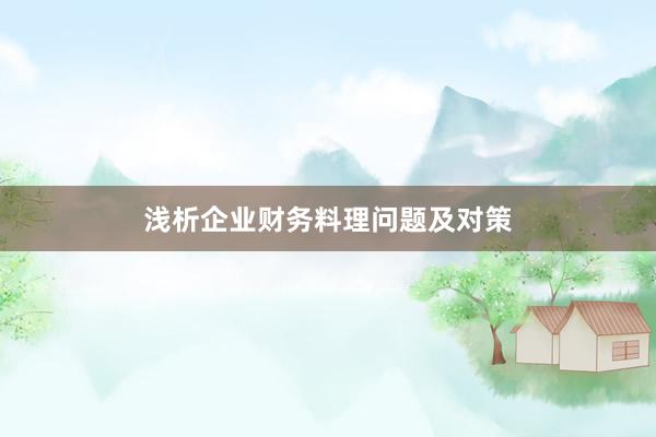 浅析企业财务料理问题及对策