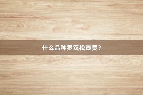 什么品种罗汉松最贵？