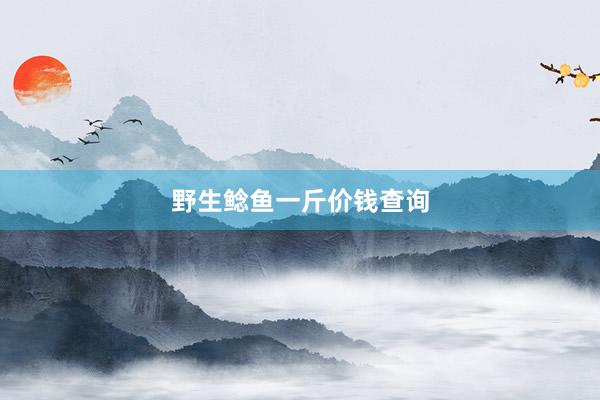 野生鲶鱼一斤价钱查询